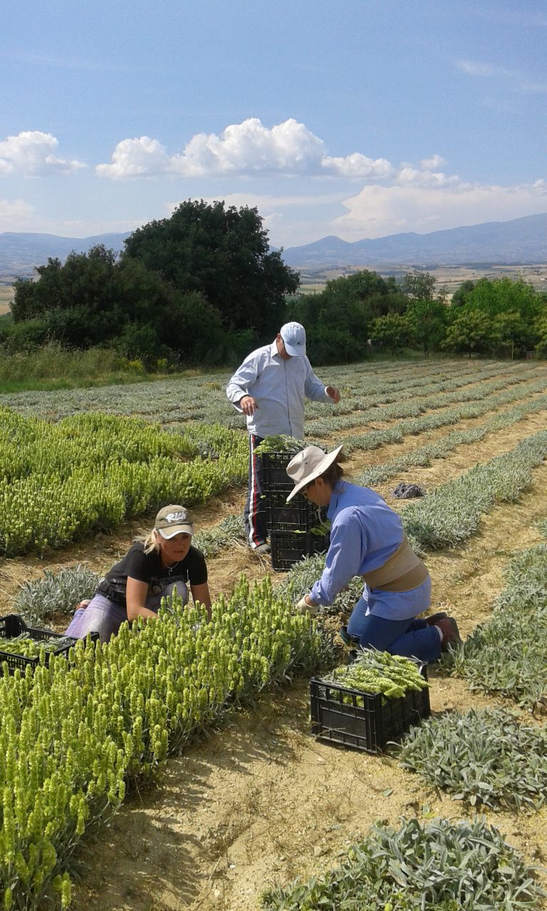 Traditionele producten uit de natuur